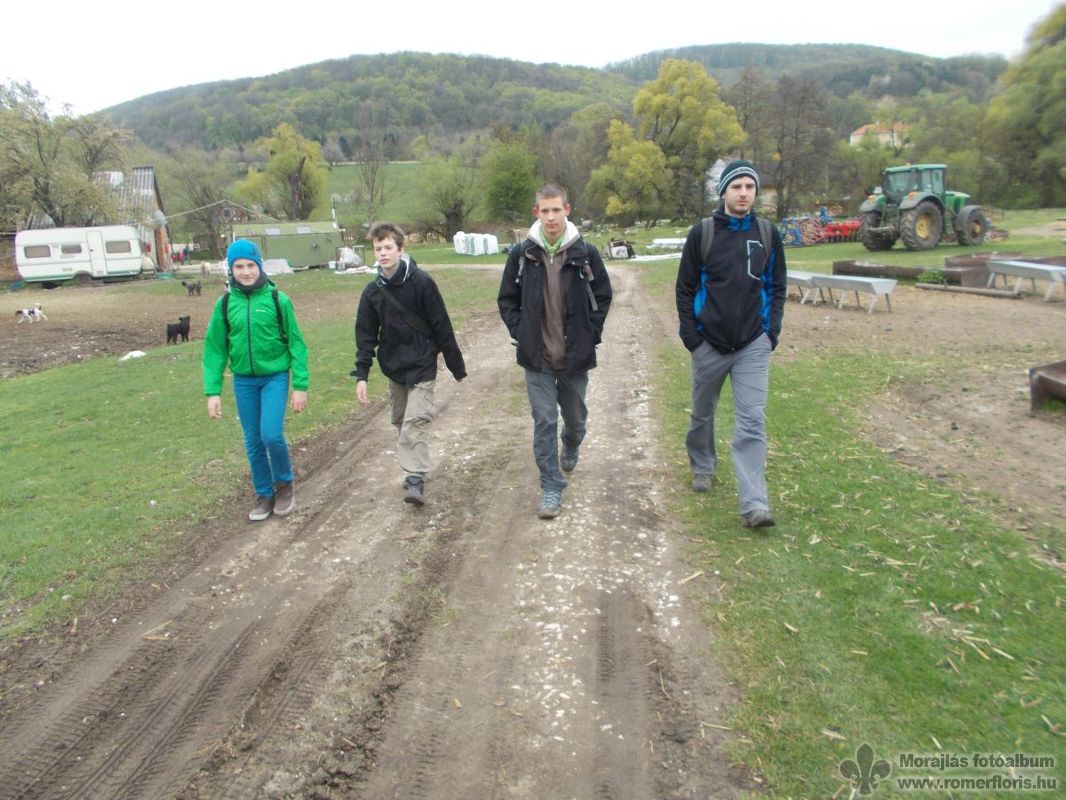 Tigris őrs, Szárliget-Szár